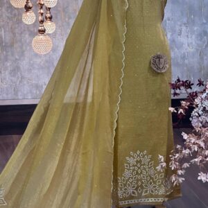 Organza Shimmer Suit with Zarqan Work & Dupatta
