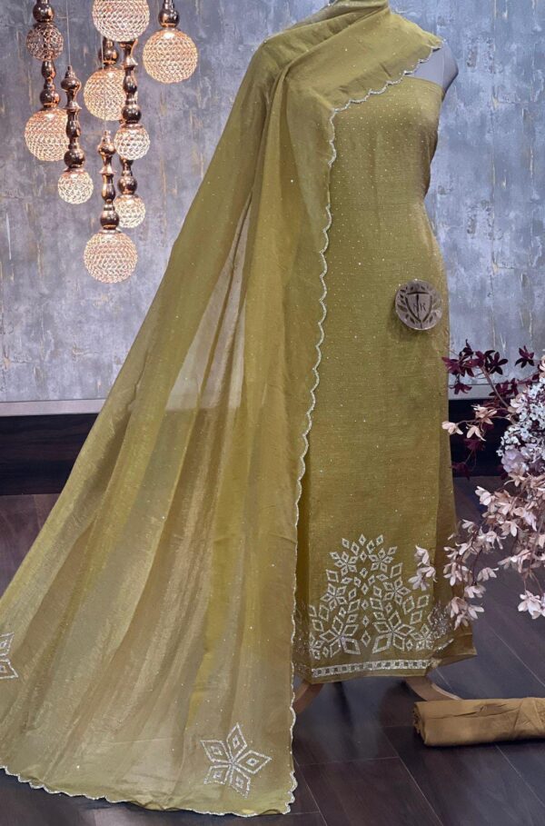 Organza Shimmer Suit with Zarqan Work & Dupatta